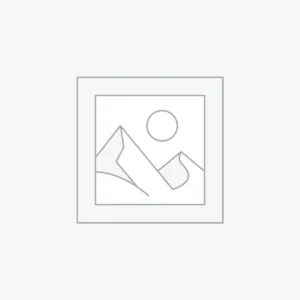 Grillvõileib singi-juustu